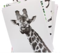 180 X A3 POSTER FRAME 29.7X42CM DISPLAY BOX ASST