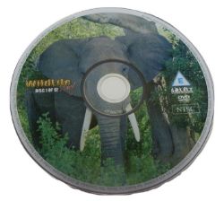 500 X WILDLIFE ELEPHANT DIARY DISC 1 OF 12