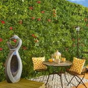 1X1M CAMELLIA WITH FLOWER DRACAENA FERN IVY