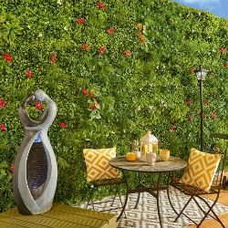 1X1M CAMELLIA WITH FLOWER DRACAENA FERN IVY