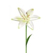 24 PCS 64CM METAL WHITE LILY GARDEN STAKE