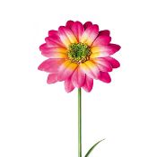 X24 PCS 64CM METAL GERBERA GARDEN STAKE - 2 ASSORTED