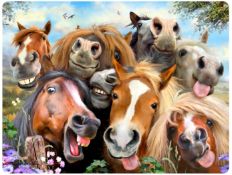 HORSE SELFIES 3D EFFECT POSTCARDS X 20 UNITS