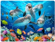 DOLPHINS DELIGHT 3D EFFECT POSTCARDS X 20 UNITS