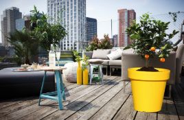 352X NEW FLOWER POT - YELLOW DLOF500-116C