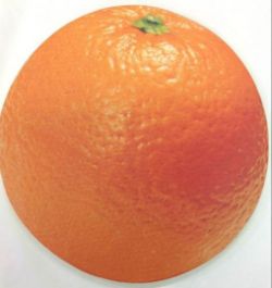 511X NEW THICK FOAM GARDENING KNEELING PADS - 40 CM - ORANGE