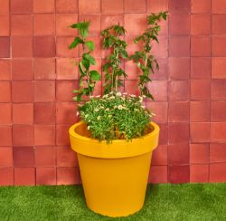 345X NEW PLANTERS PRIDE | AURA | 47CM PLANTER | ORANGE