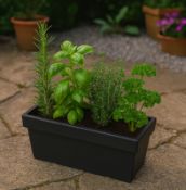 170X NEW PLANTERS PRIDE | FRESTO | 58CM PLANTER | ANTHRACITE