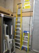 Lyte step ladder, 9-rung