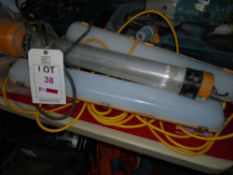 Four 110v site strip lights