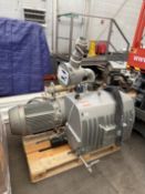 Busch Vacuum Pump