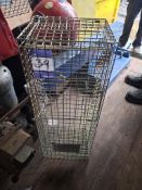 3 x Animal traps