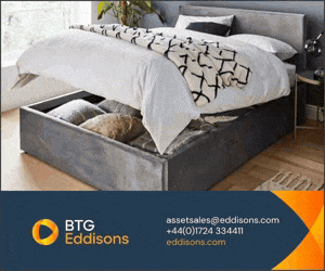 Modern Furniture and Accessories