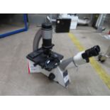 Leica DMi1 Inverted Microscope, Year: 2021, S/N: 531595