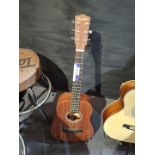 Ferndale FMZ acoustic guitar