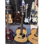 Elevation W-100-NA acoustic guitar