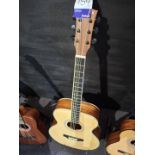 Tourtech TT-AGBP-4/4 damage in back guitar