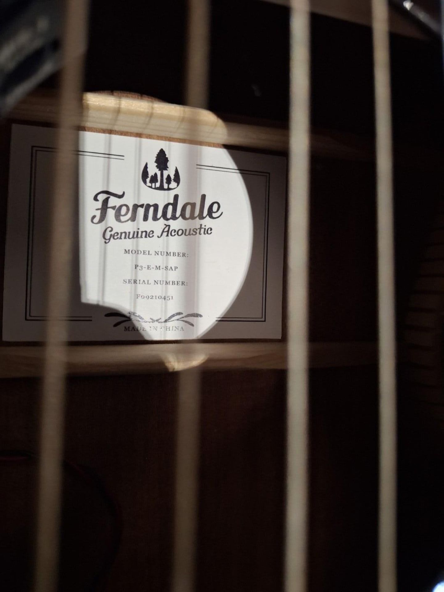 Ferndale P3-E-M-SAP acoustic guitar - Image 3 of 3