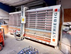 Striebig compact type 5207 vertical saw (2010) & Startrite Cyclair-75 dust collection unit