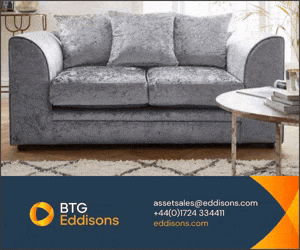 Modern Furniture and Accessories