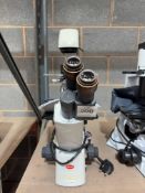 MOTIC AE31E inverted biological microscope