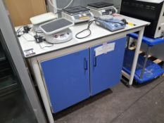 Wheeled Laboratory Workbench