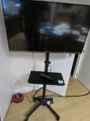 Panasonic TX43G6352B TV on mobile stand