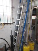 Werner triple extension ladders