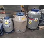 3x Assorted Liquid Nitrogen Storage Vessels