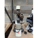 MOTIC AE31E inverted biological microscope