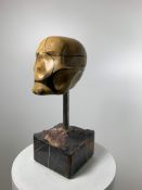 Domenico Ludovico Skull Gold AZ, 2022 Marble for the valley of the Apuan Alps Iranian Travertino rar