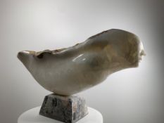 Domenico Ludovico Flying, 2023 Onyx. Very precious and rare from the Apuan Alps. 15 25 3/5 7 1/1
