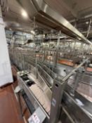 2 x Bottle conveyors taking 4 pint full bottles from filler to trolley packers. 2 x 18 metre lengths