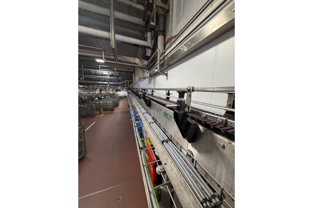 Amech High level conveyor. Approx 60 metres motorised conveyor transporting the 6 x 4 pint milk from - Image 4 of 13