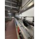Amech High level conveyor. Approx 60 metres motorised conveyor transporting the 6 x 4 pint milk from - Image 4 of 13