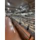 Inline Full Bottle conveyors. Conveyors from Filling to Trolley Packers with Heuft Lane Bottle diver - Image 10 of 13