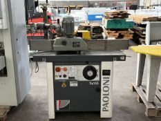 Paoloni TX113 spindle moulder - 400v; Year of manufacture 2008 - with Aigner guide and a Bursgreen B