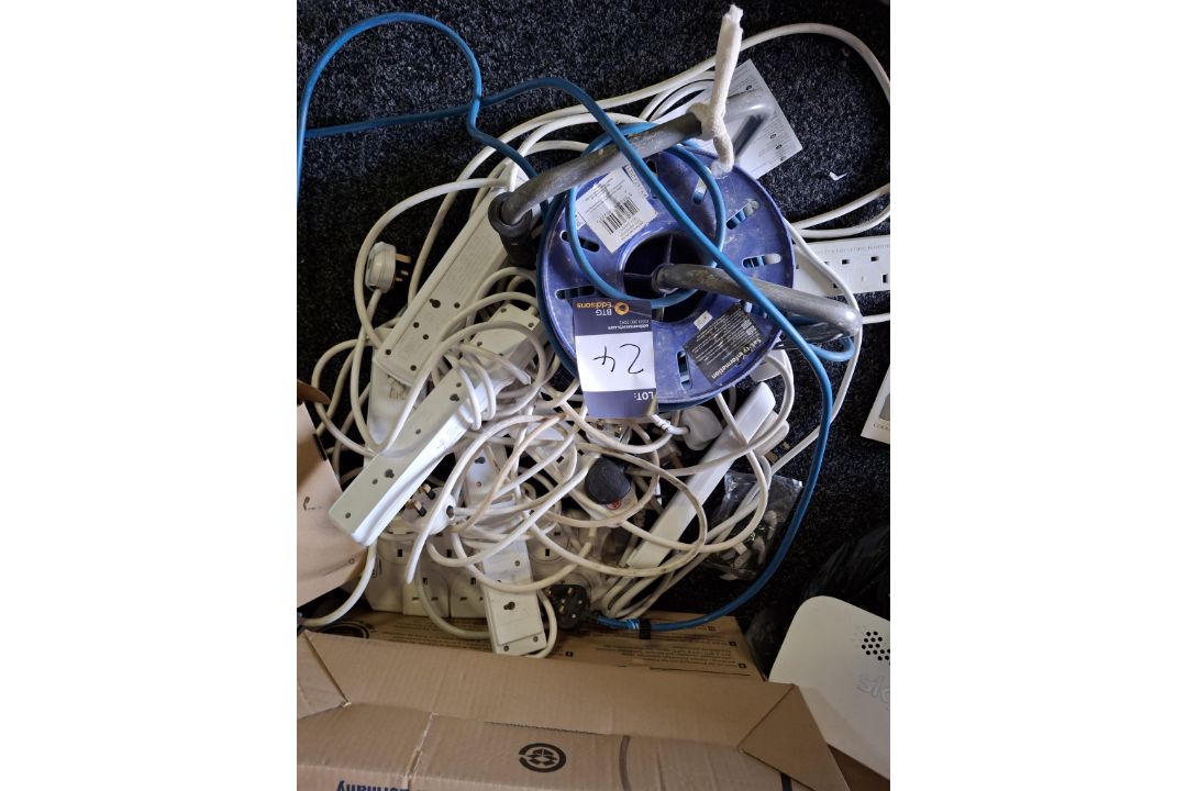 Quantity of extension leads and a reel extension