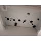 2 x Display boilers by ideal - Image 5 of 6