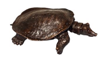 Japanese bronze okimono of a soft-shell turtle, naturalistically cast with outstretched head and
