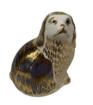 A Royal Crown Derby King Charles Spaniel paperweight, designed by Jo Ledger and modelled by Robert