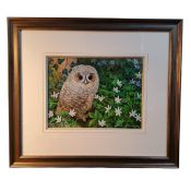 Ricard Whittlestone (Derbyshire Artist) Tawny Owl Chick, signed, gouache, 22cm x 30cm