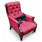 A Victorian mahogany button back salon armchair, scroll back, turned legs, c.1880