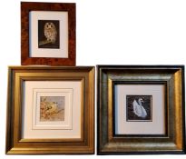 Ricard Whittlestone (Derbyshire Artist), Swan, signed, gouache, 6cm x 6cm;   others, Tawny Owl,  6.