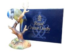 A Royal Crown Derby model,  Blue Tit, for Sinclairs, 85/100 100, boxed