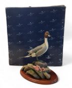 Border Fine Arts Waterfowl of The World, Pintail, modelled  by Don Briddell, mahogany plinth, 26cm