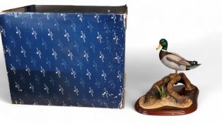Border Fine Arts Waterfowl of The World, Mallard, modelled  by Don Briddell, mahogany plinth, 25cm