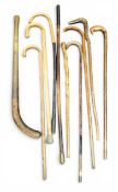 Walking sticks - assorted, rustic;  shinty stick; others  (10)
