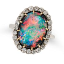 A VERY FINE UNTREATED BLACK OPAL AND DIAMOND CLUSTER RING set with an oval cabochon black opal of