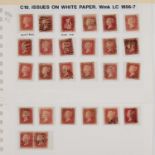 ISSUES ON WHITE PAPER